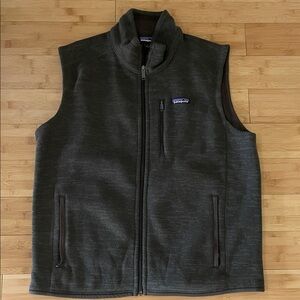 Patagonia Men's Brown Vest